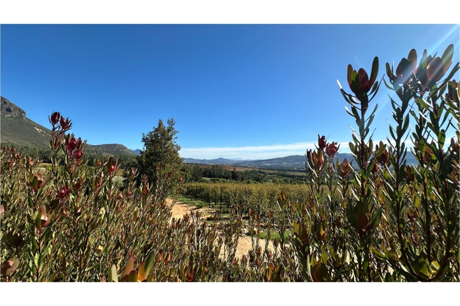 0 Bedroom Property for Sale in Paarl Rural Western Cape